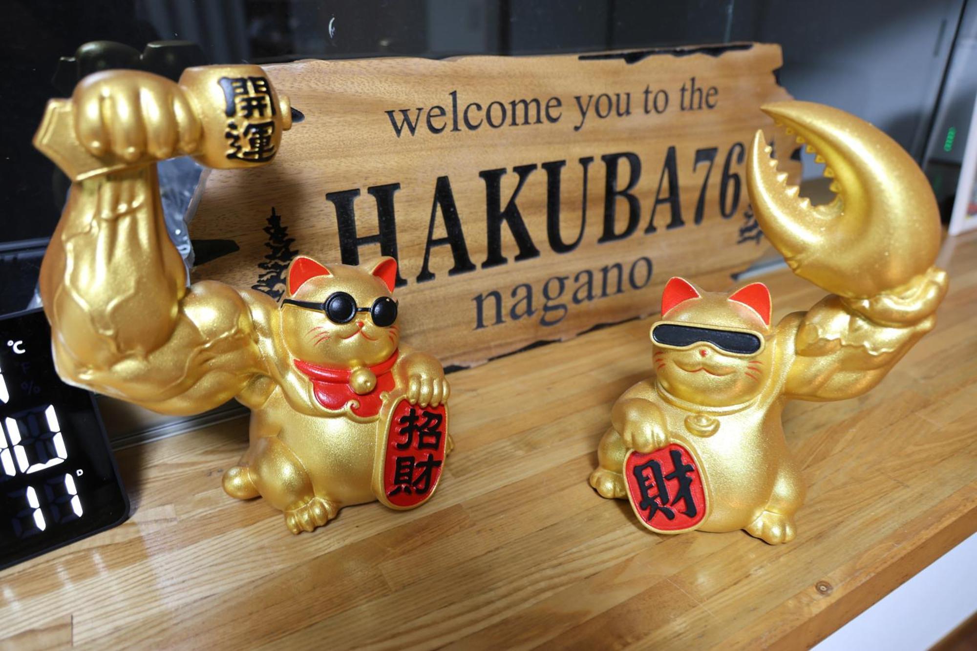 Séjour chez l'habitant Hakuba76 Hakuba